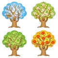 Vector cartoon apple tree on a different seasons. Autumn, winter, summer, spring